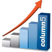 EPM Maturity Model