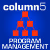 program management