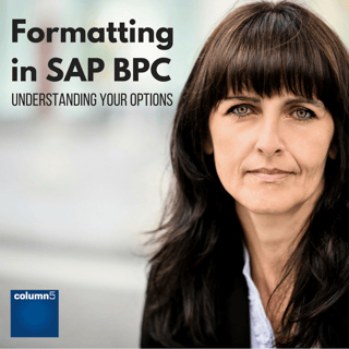 Formatting_in_SAP_BPC.png