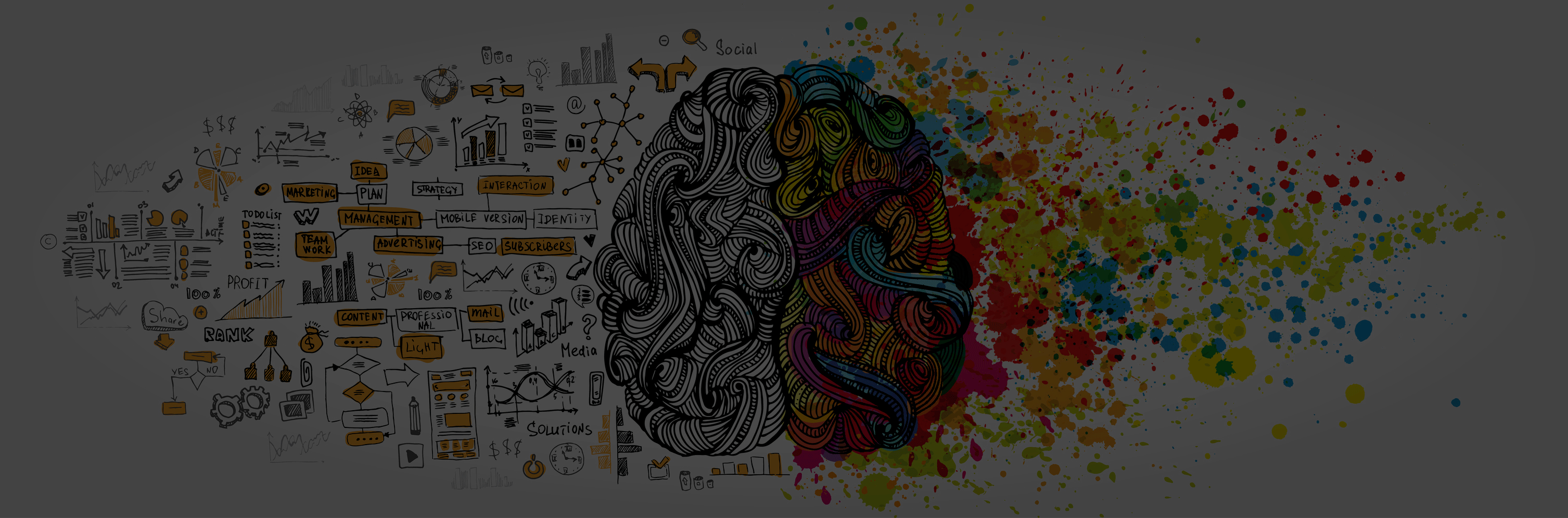 Left-right-human-brain-conceptdark.gif
