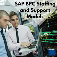 SAP_BPC_Staffing_and_Support_Models.png