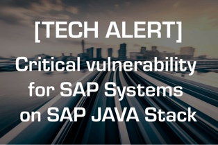 Critical vulnerability for SAP Systems on SAP JAVA Stack