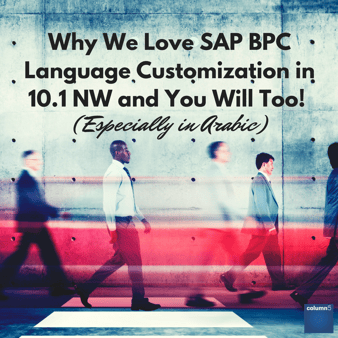 Why_We_Love_SAP_BPC_Language_Customization_in_10.1_NW_and_You_Will_Too_Especially_in_Arabic.png